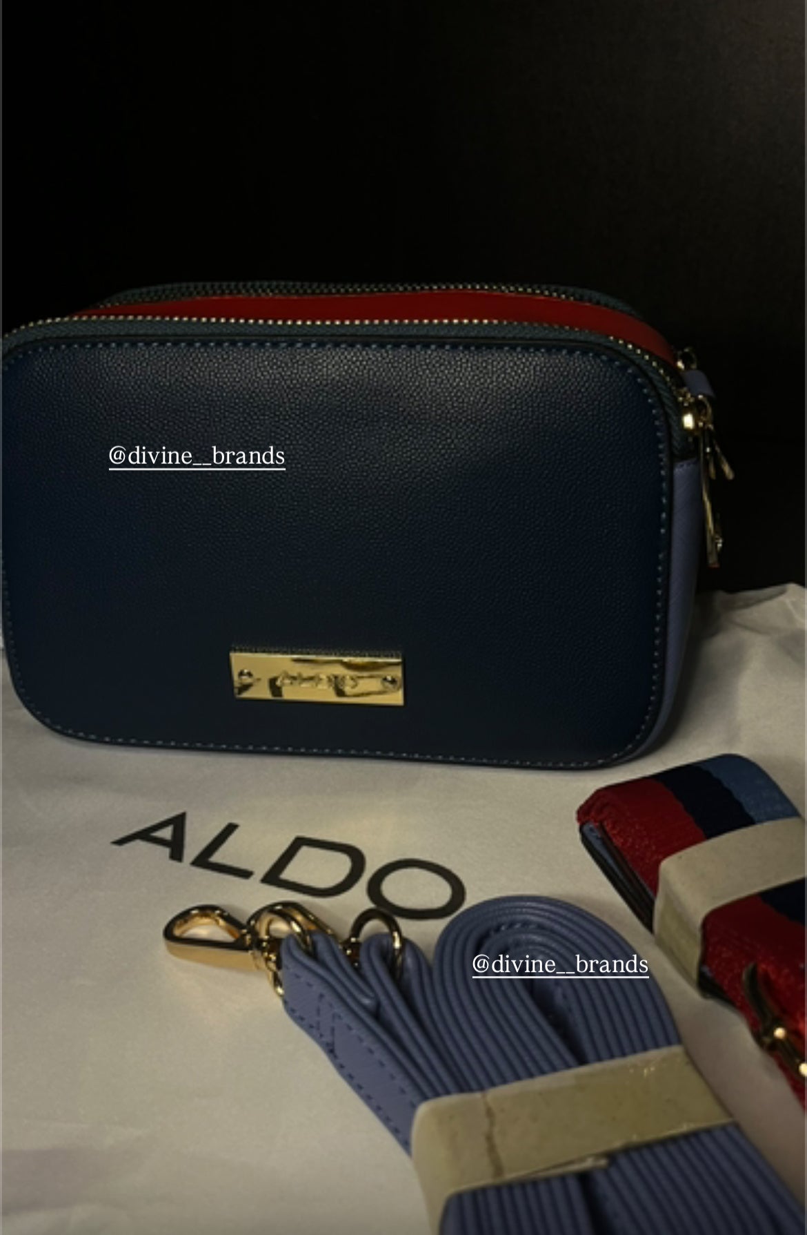 Aldo cross body bag