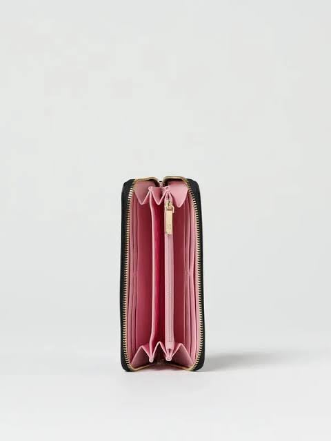 Chiara ferragni wallet bag