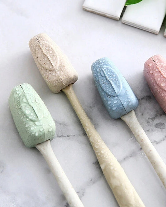 4pcs toothbrush case