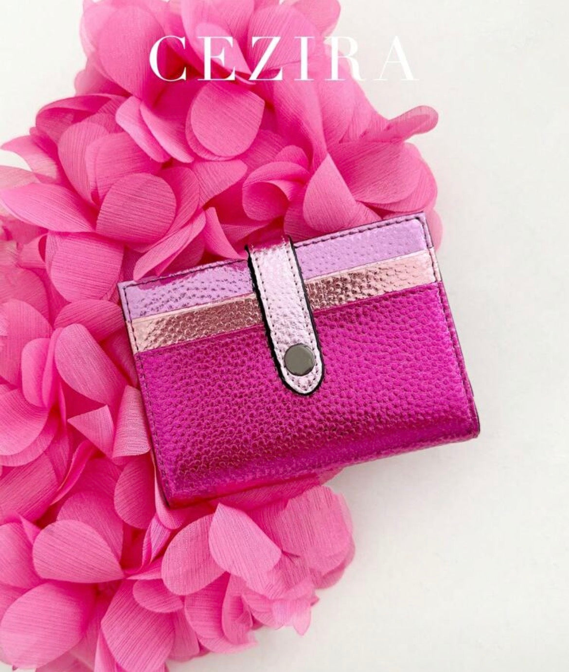 Cardholder