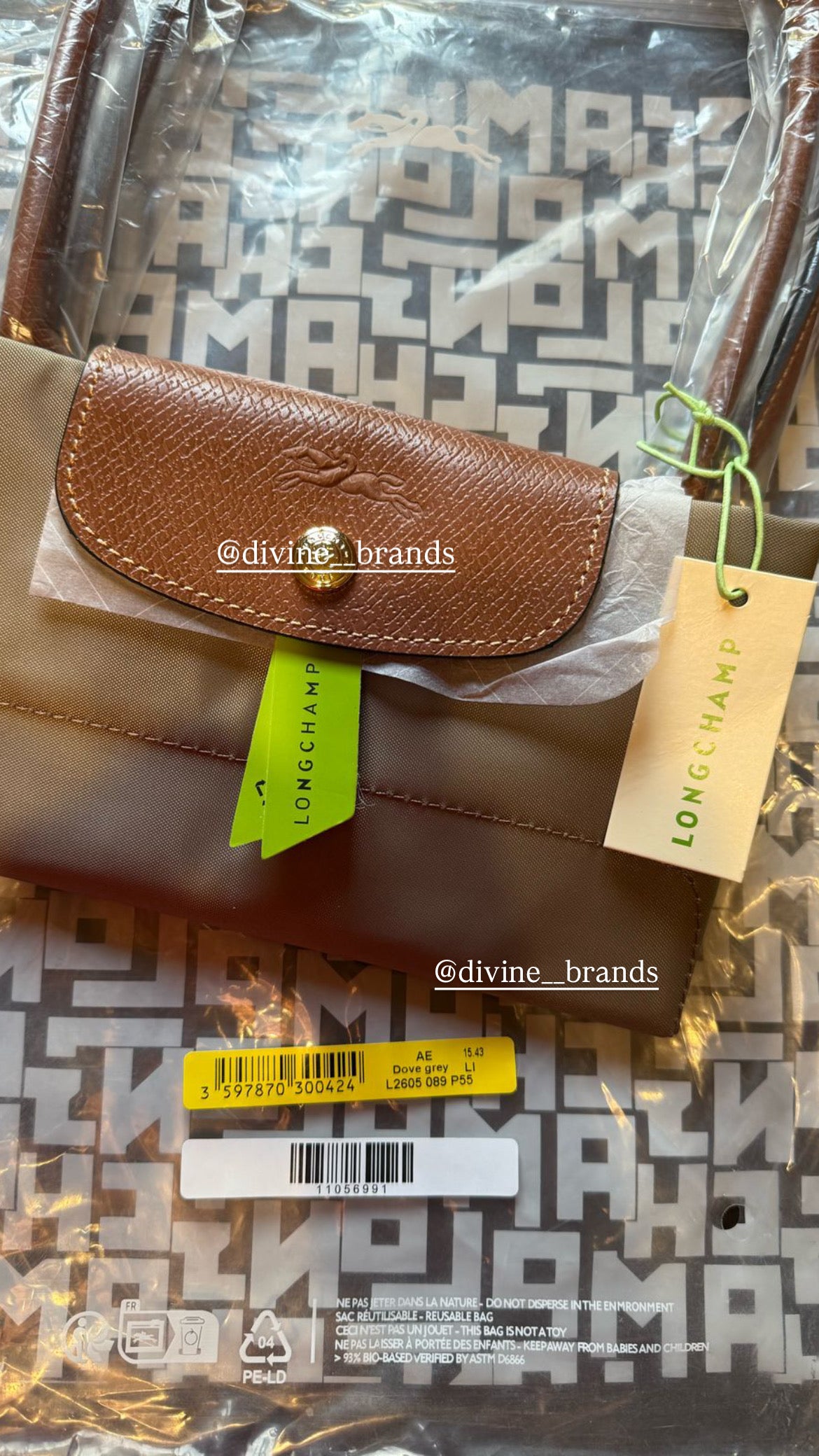 Longchamp tote bag