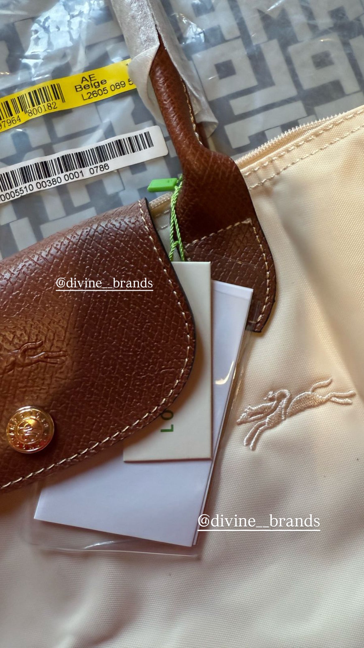 Longchamp tote bag