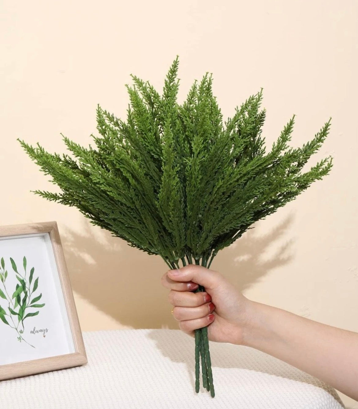 1pcs plant