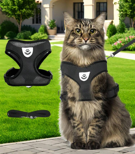 Waterproof leash