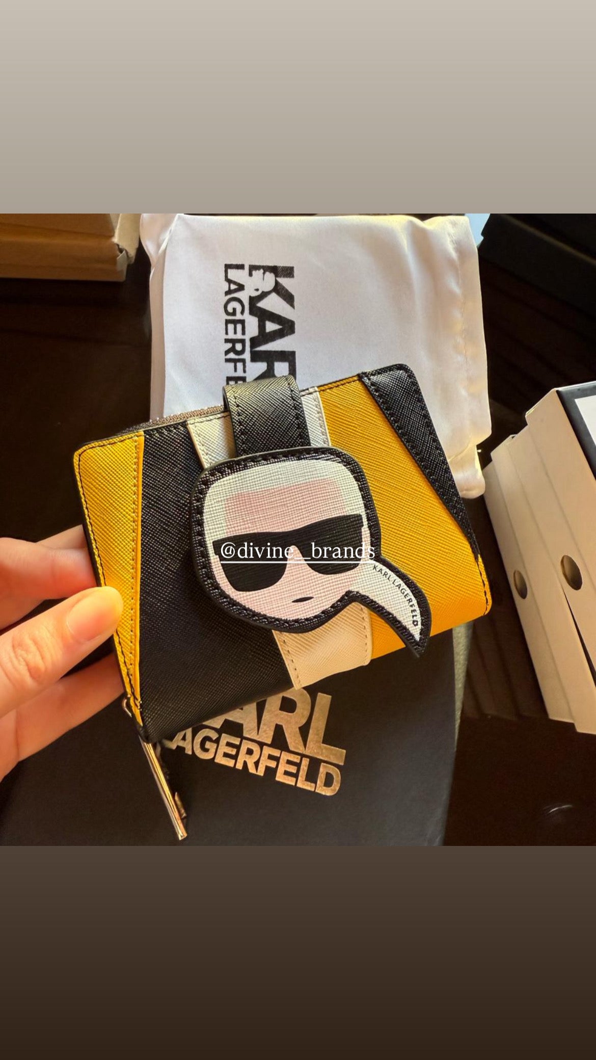 Karl lagerfeld wallet