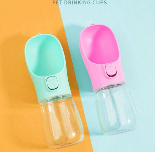Pet water bottle